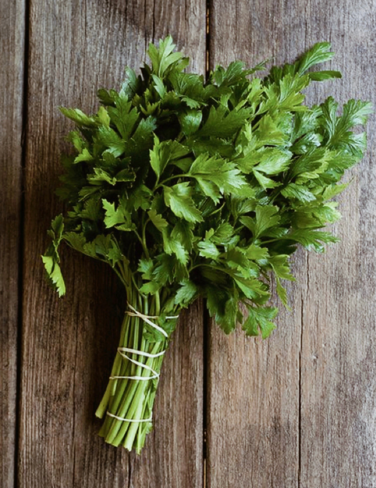 Flat Leaf Parsley - Local Grown