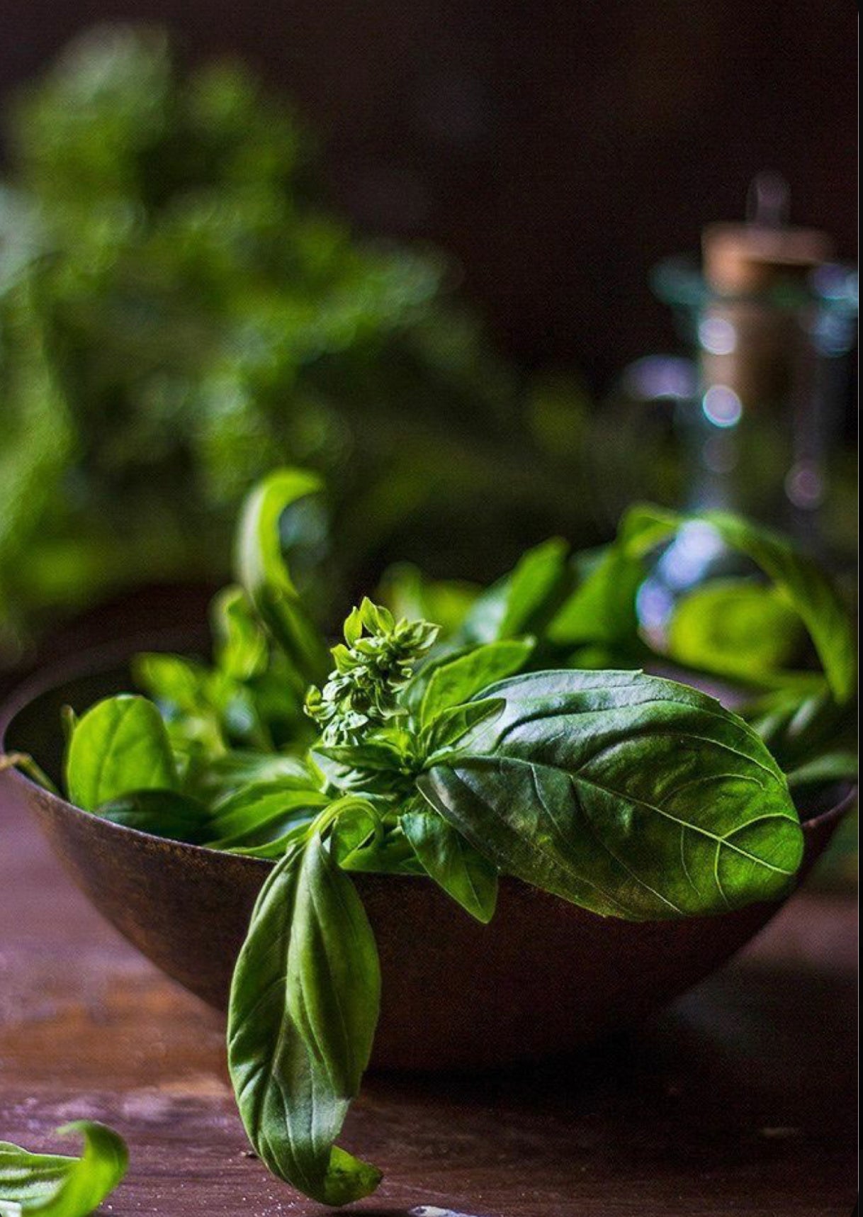 Basil - Local Grown