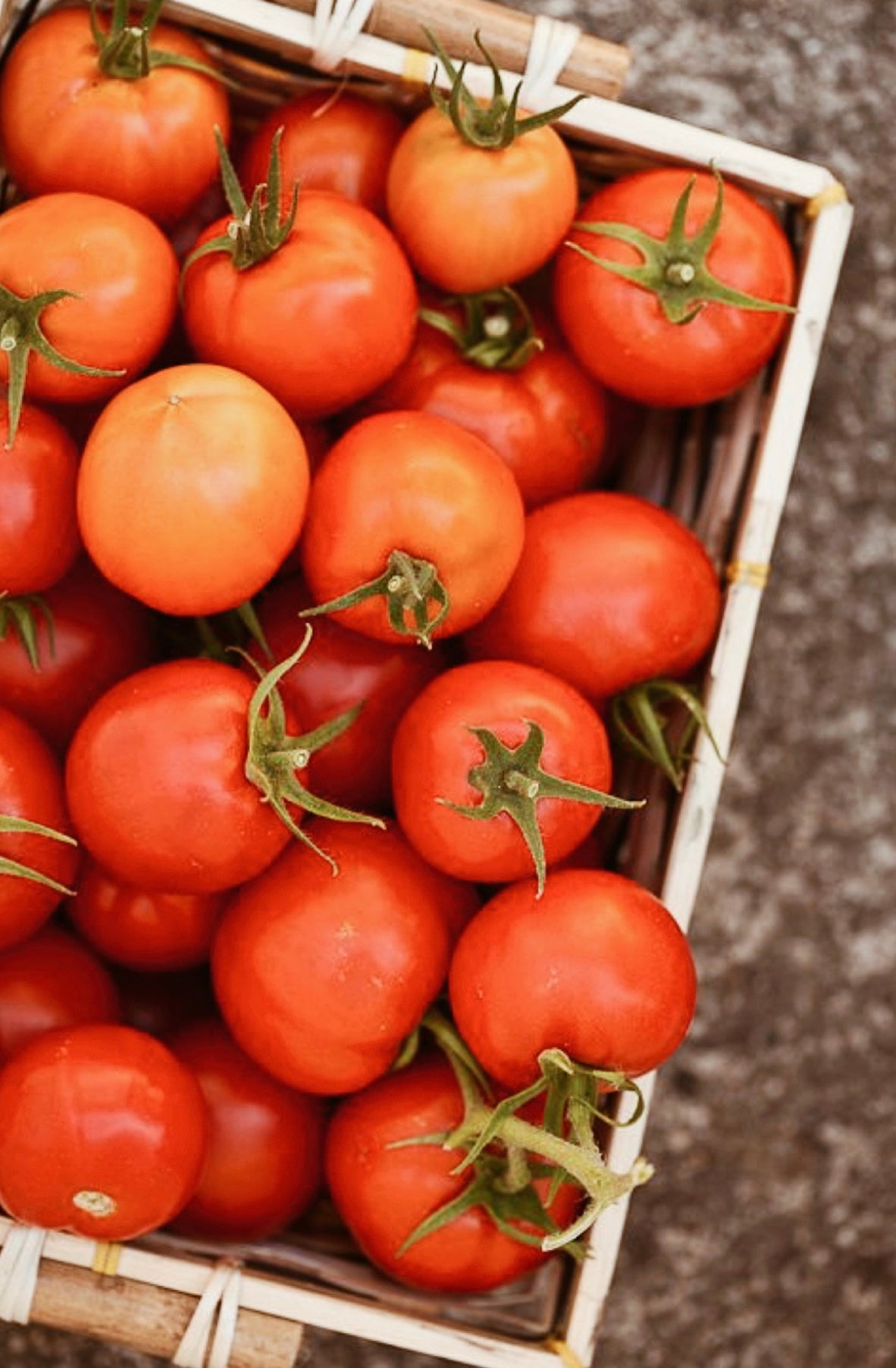 Tomatoes 500g - Local Grown