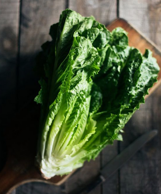 Cos Lettuce - Local Grown