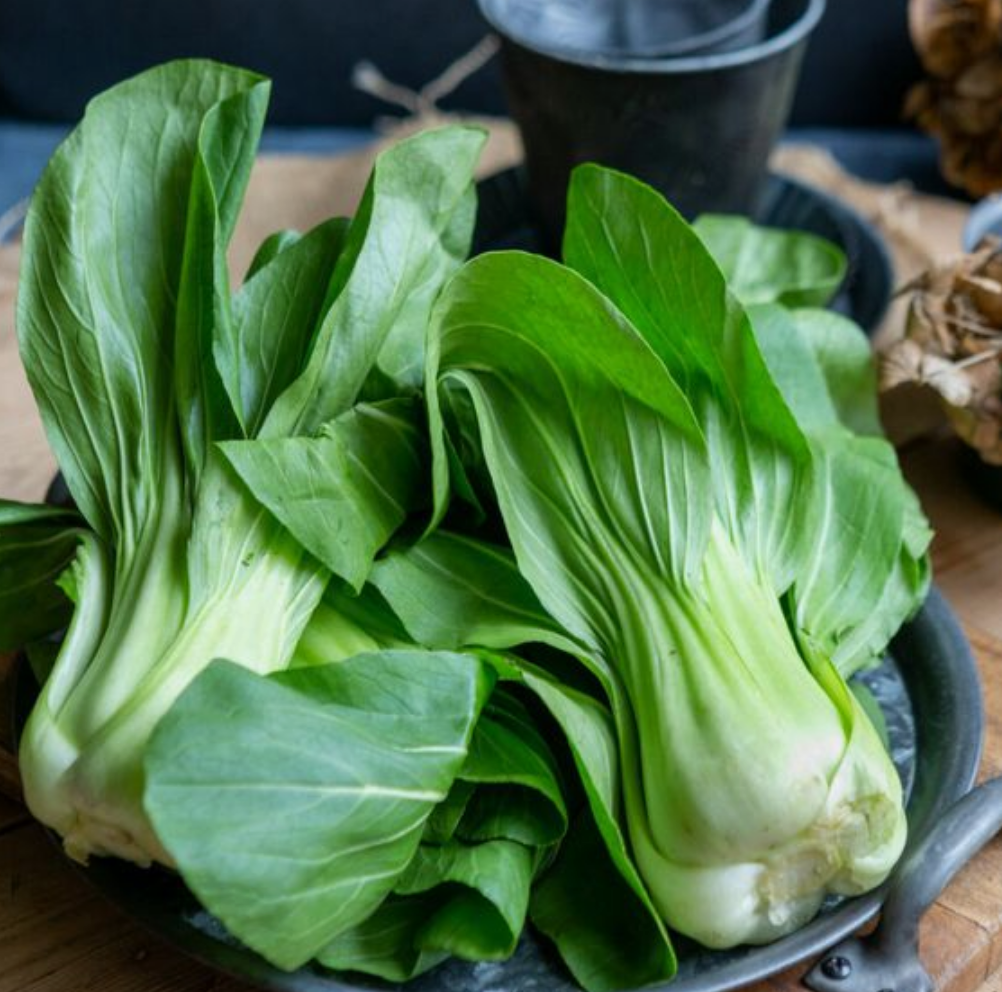 Bok Choy - Certified Organic