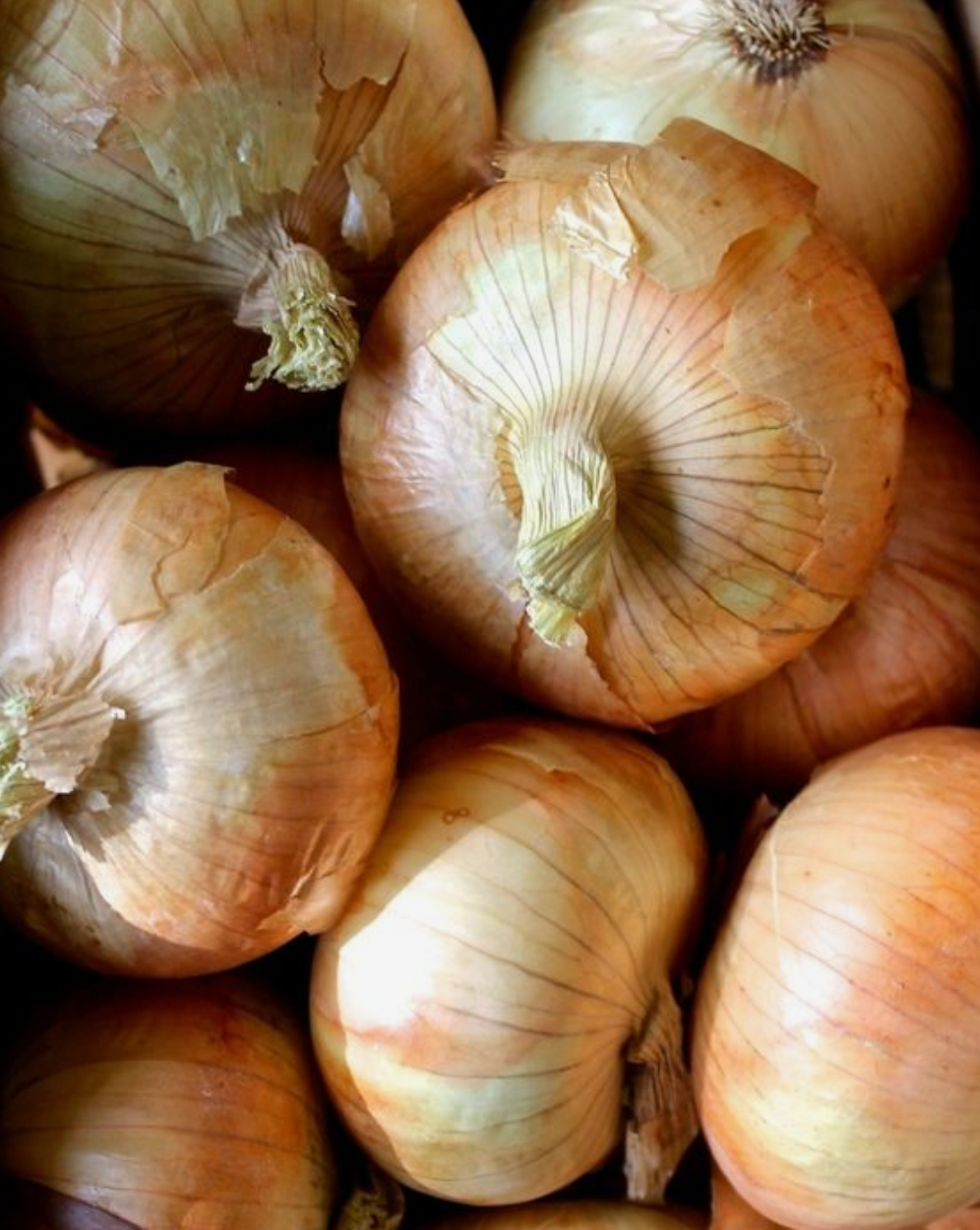 Onions Brown 500g - Certified Organic