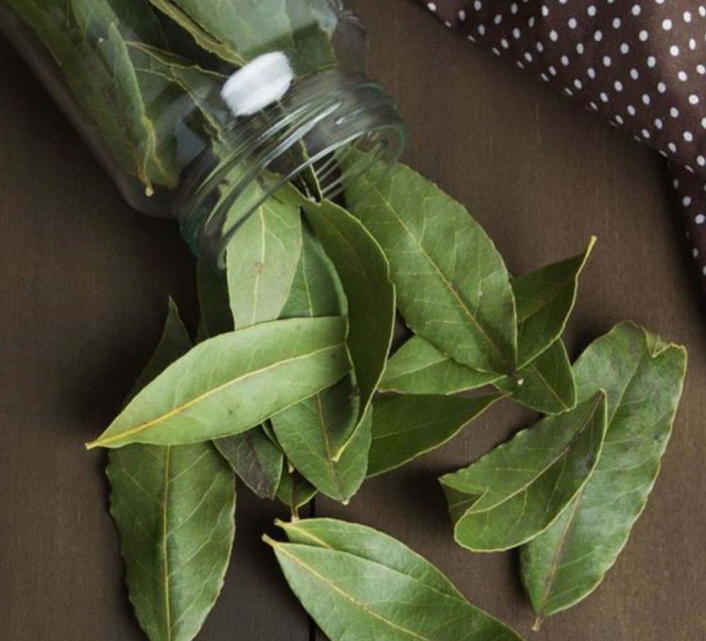 Bay Leaves - Certified Organic