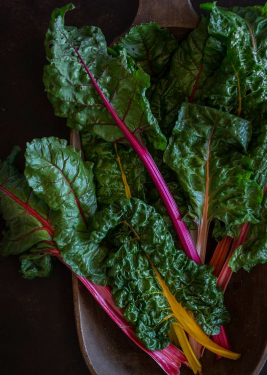 Rainbow Chard - Certified Organic