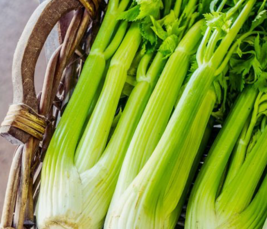 Celery Bunch Half - Certified Organic