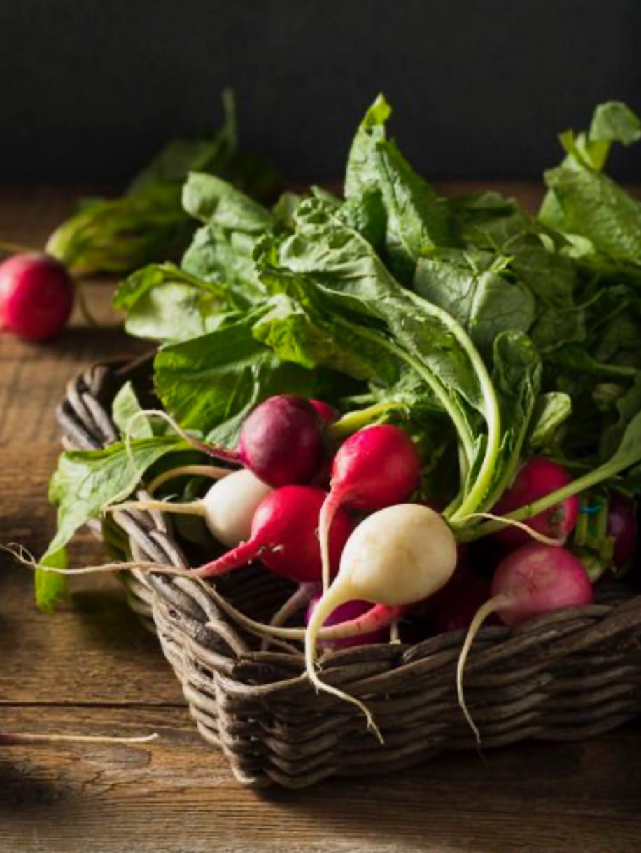 Radish Bunch - Certified Organic