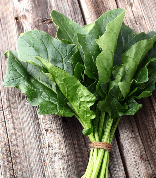 English Spinach - Certified Organic