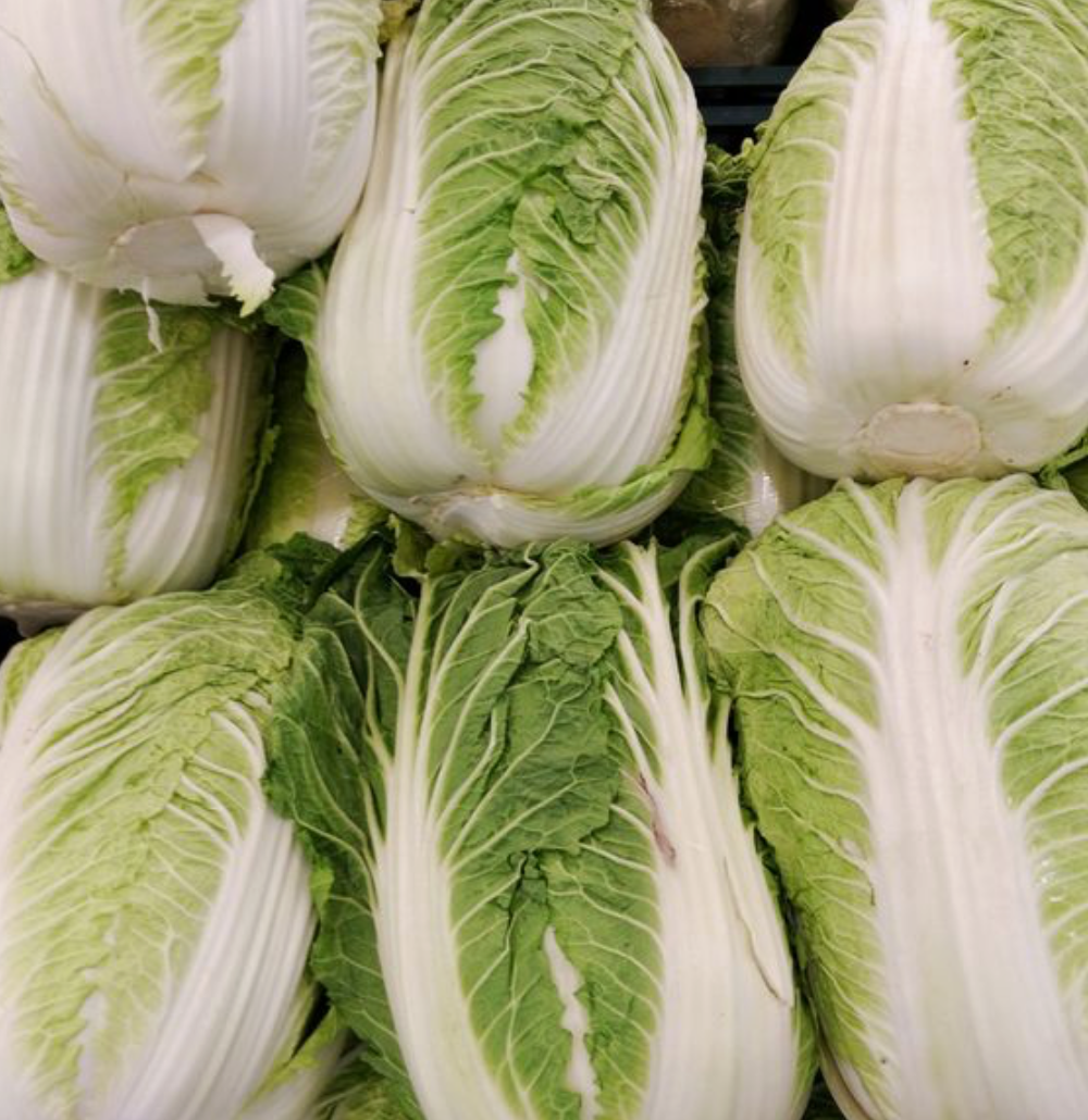 Wombok Cabbage  - Local Grown