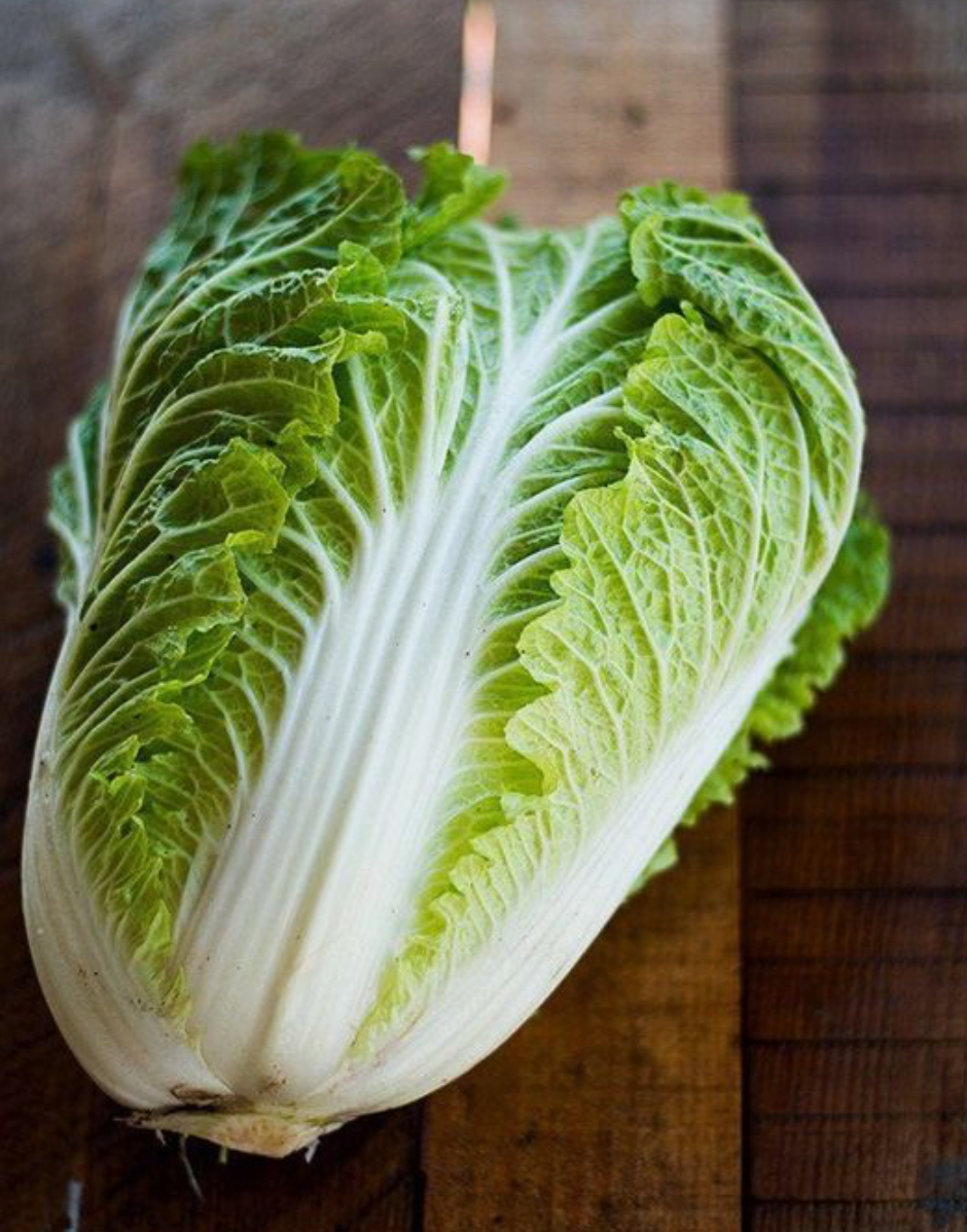 Wombok Cabbage  - Local Grown