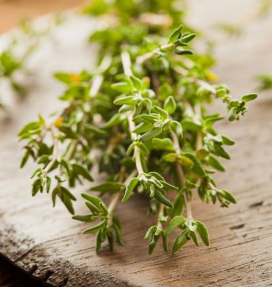 Thyme - Certified Organic