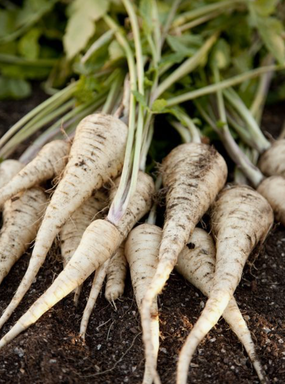 Parsnips 500g  - Certified Organic