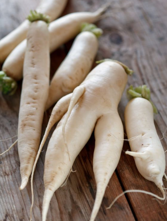 Daikon Radish 500g  - Certified Organic