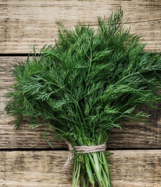 Dill - Certified Organic